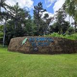 El Yunque National Forest