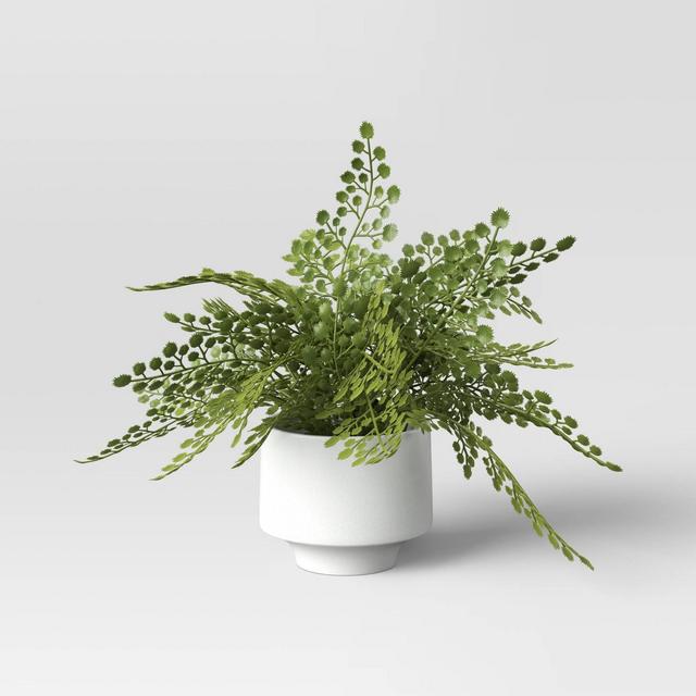 Small Fern in Modern Pot Maiden Hair Arrangement - Threshold™