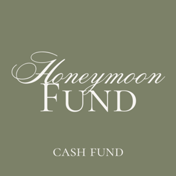 Our Honeymoon Fund!