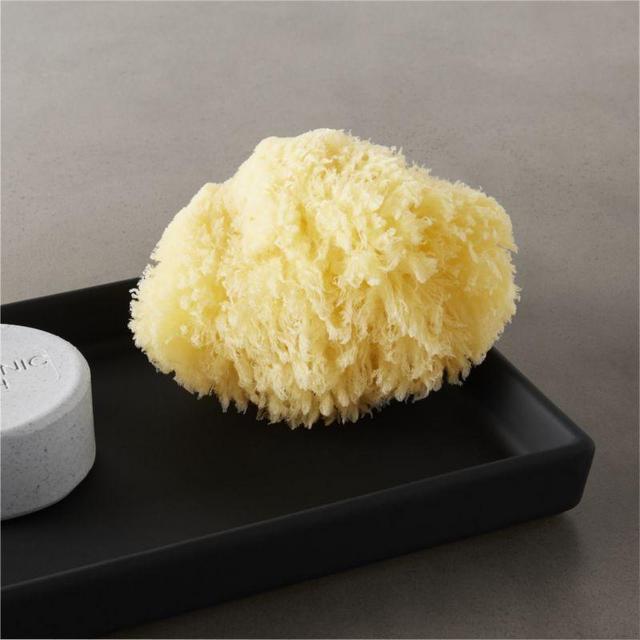 natural sea sponge
