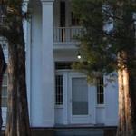 Rowan Oak