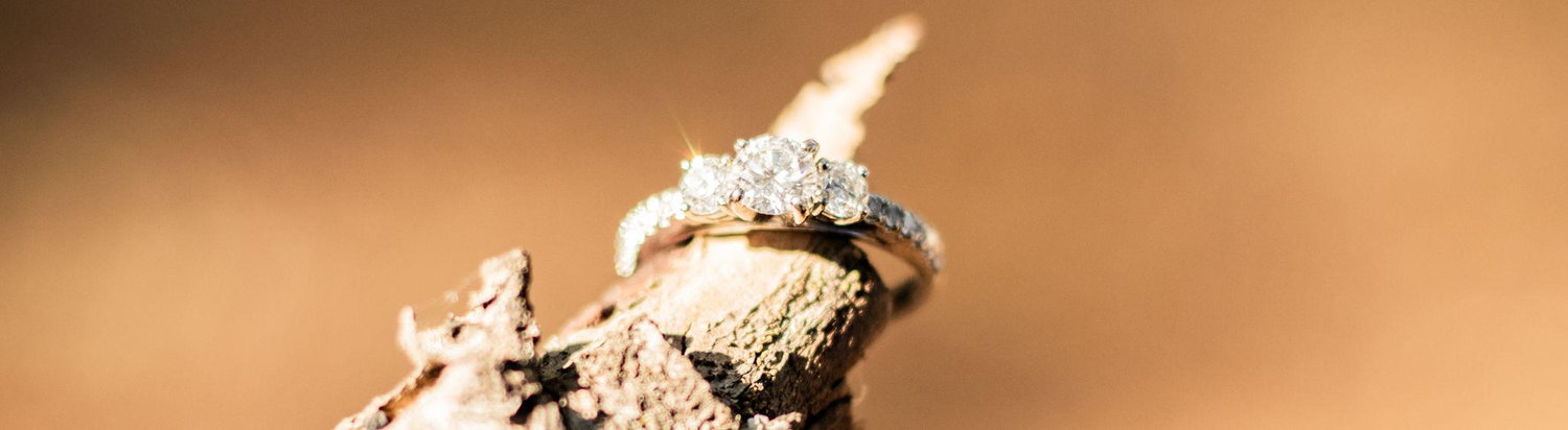 The Wedding Website of Kylie Trevillion and Talon McManus