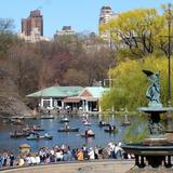 Explore Central Park