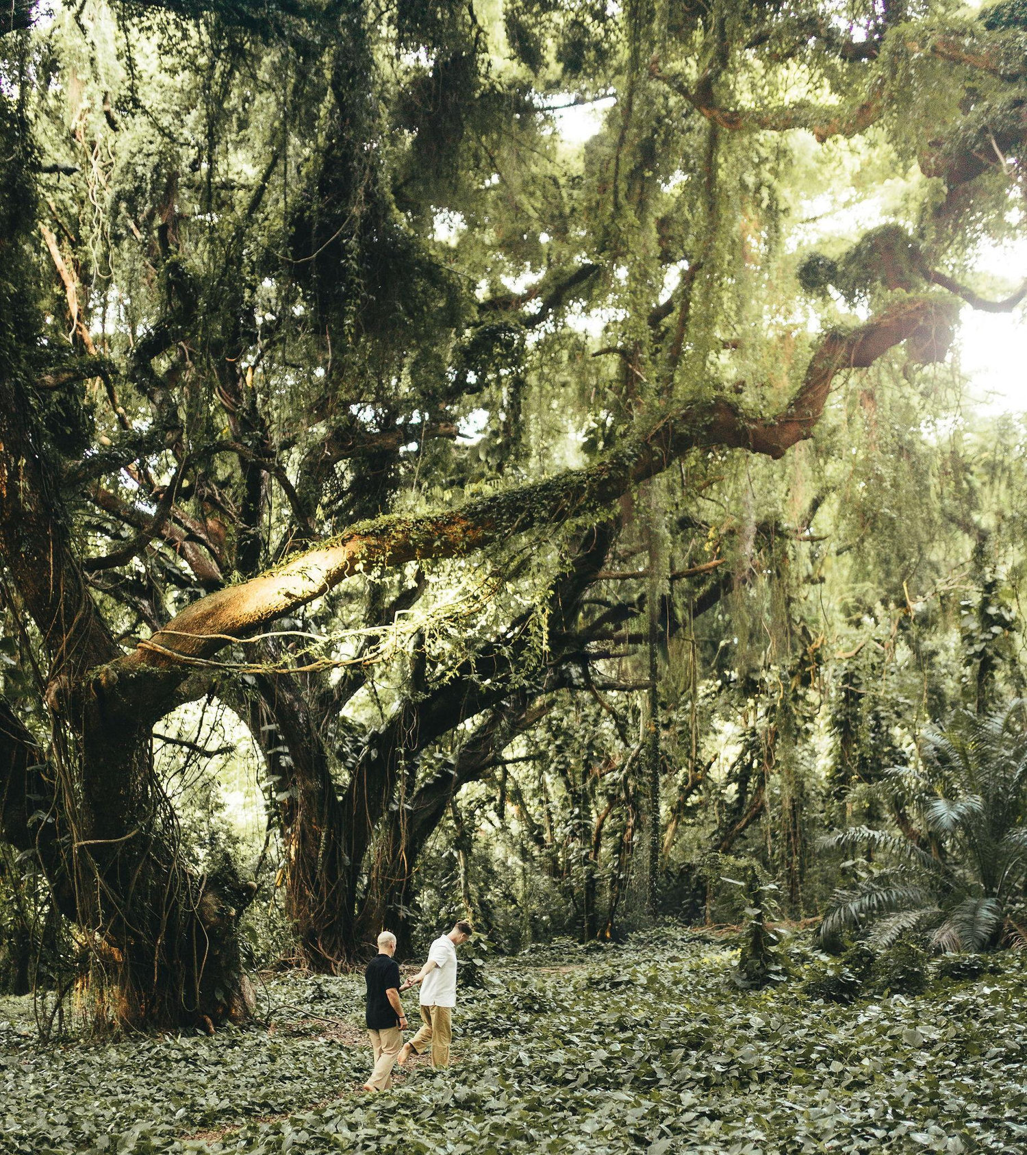 The Wedding Website of Tanner Treiber and Stephen Anderson