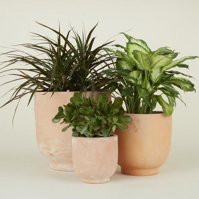 Footed Planter