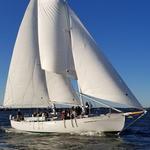 Schooner Woodwind Sailing Cruises
