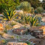 Houston Botanic Garden