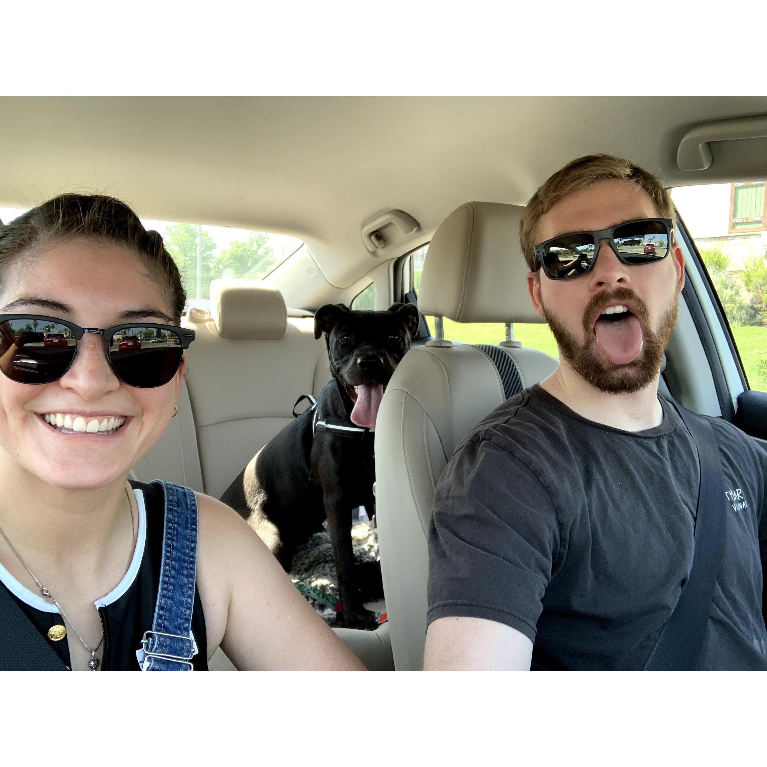 Sun's out, tongues out