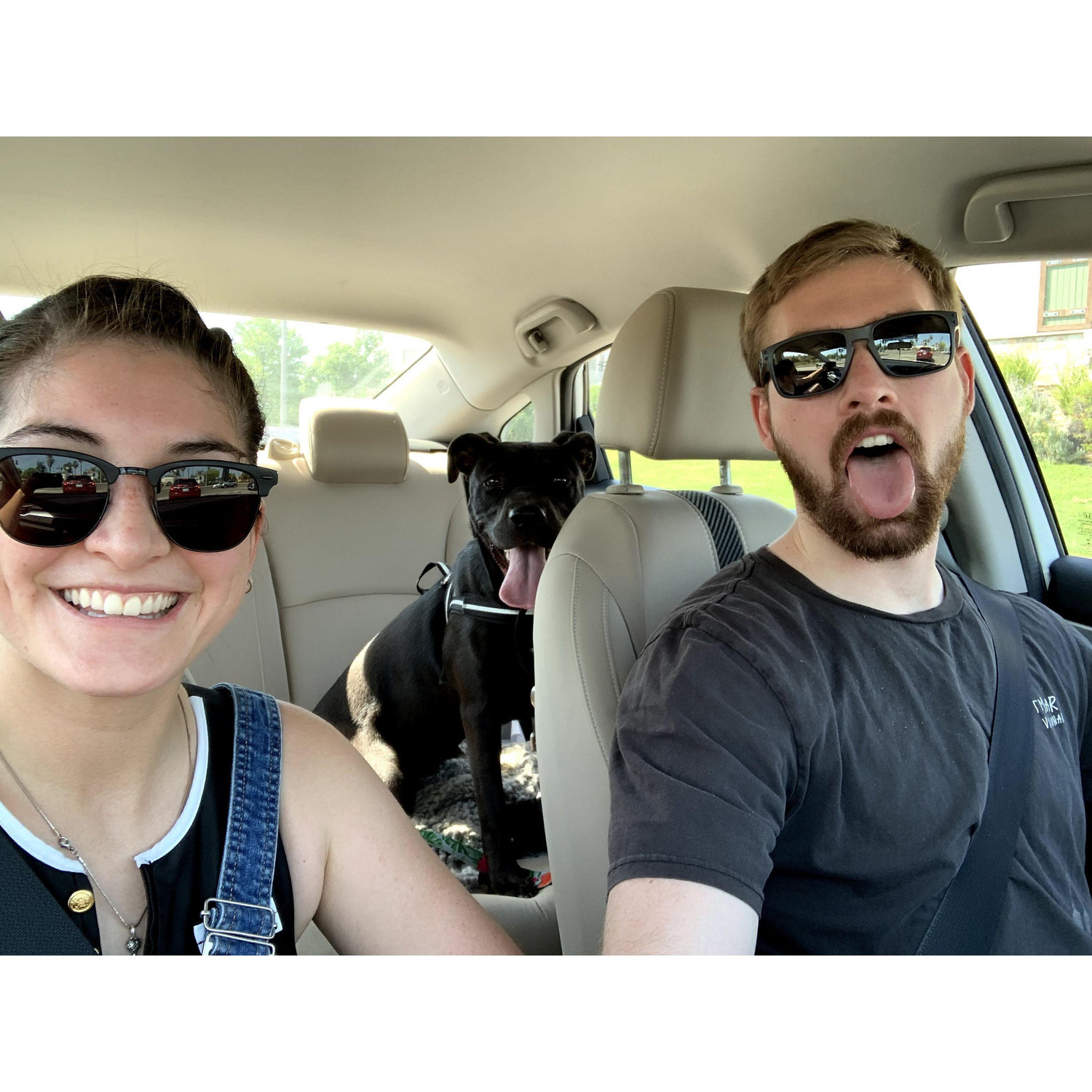 Sun's out, tongues out