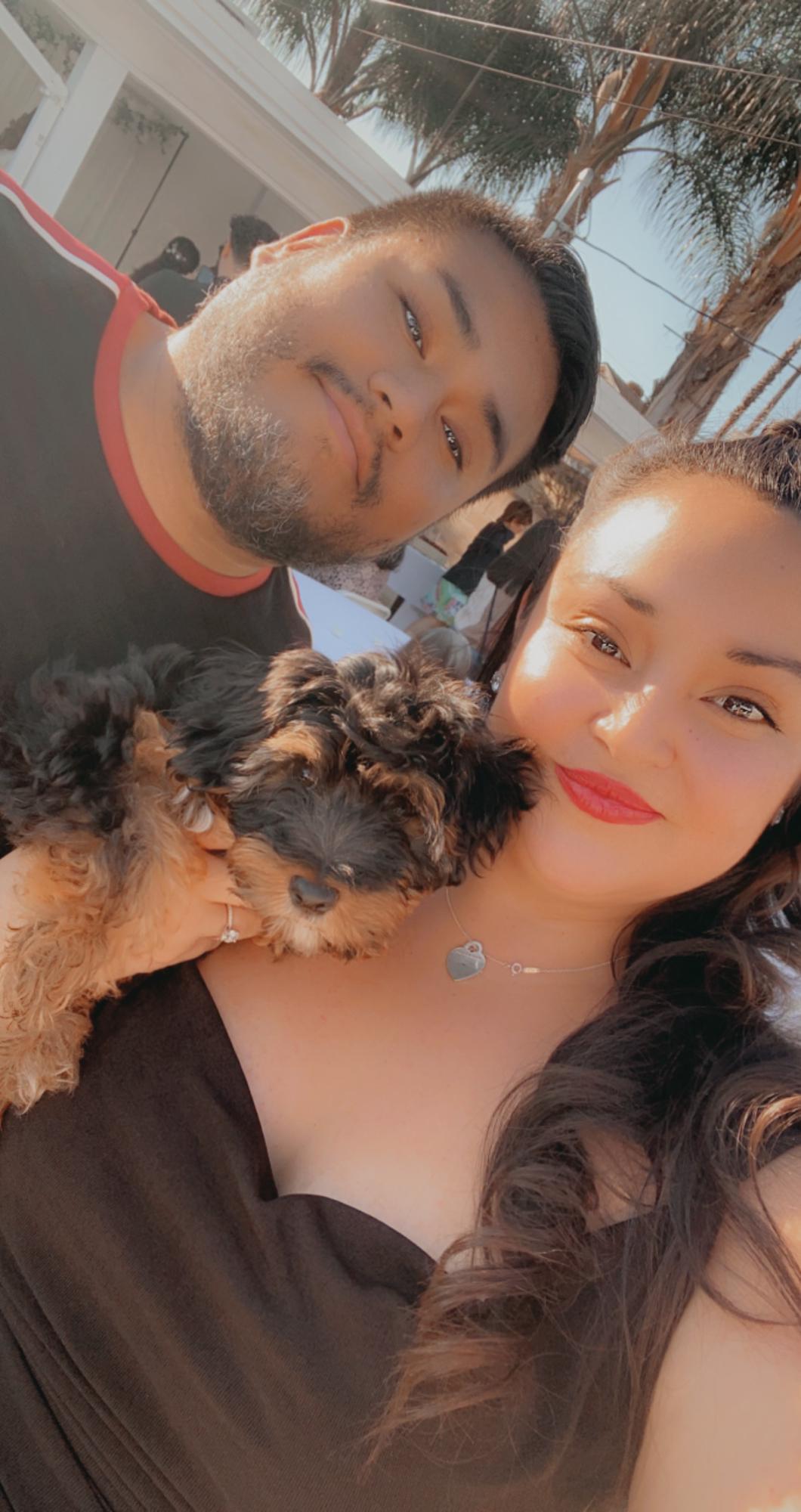 As an engagement gift, Tiffany bought Oliver a Yorkiepoo named Teddy.