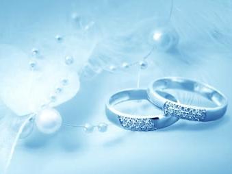 The Wedding Website of Tina Goltser and Michael Ferrante