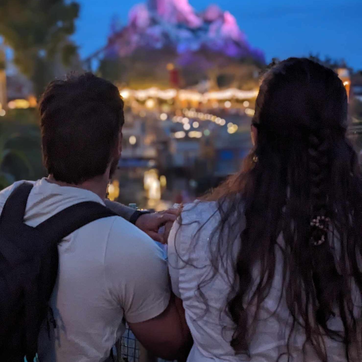 Animal kingdom at sunset.