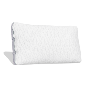 Coop Home Goods Memory Foam Pillow - Eden