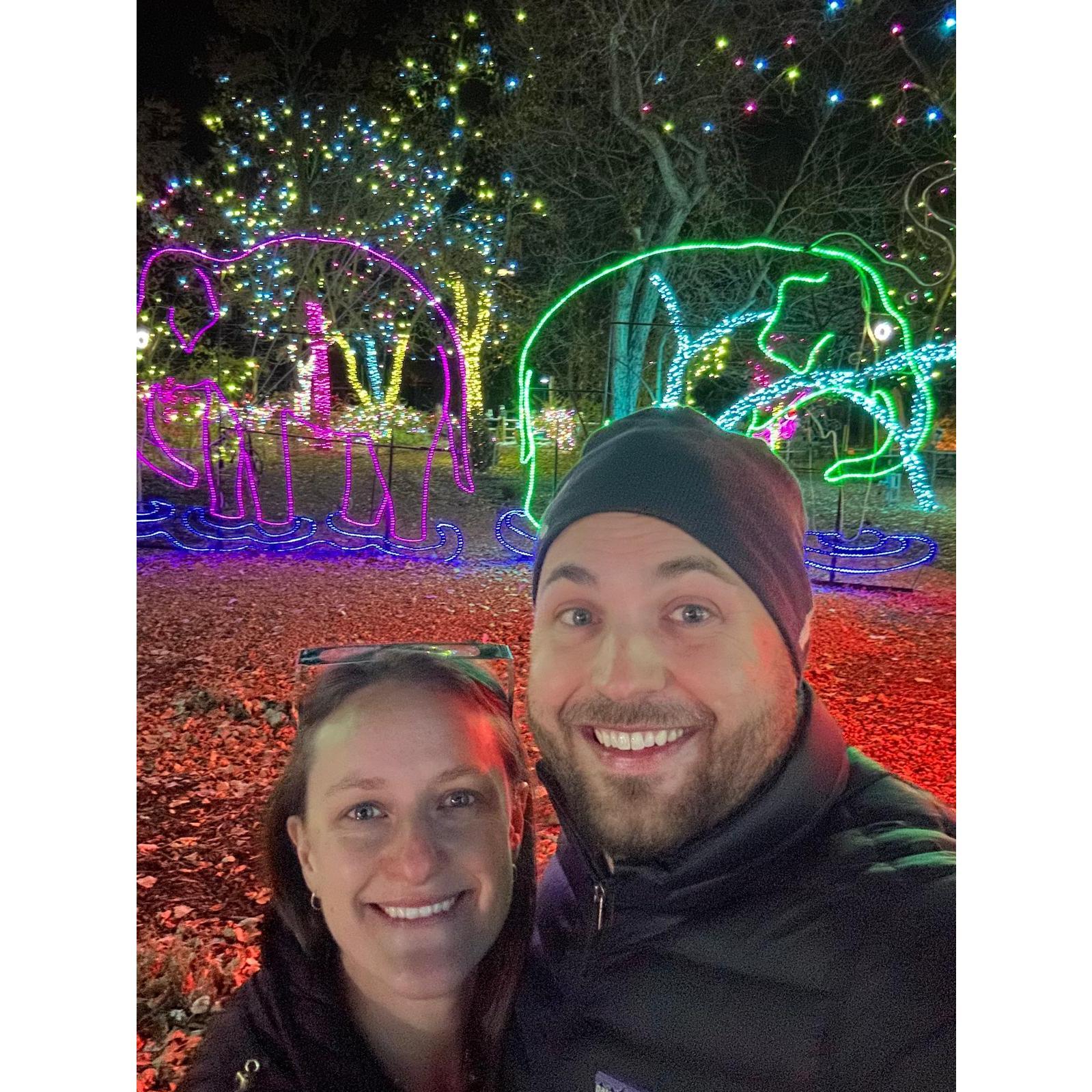 At the Denver Zoo lights!