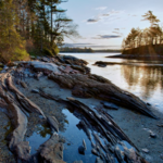 Wolfe's Neck State Park