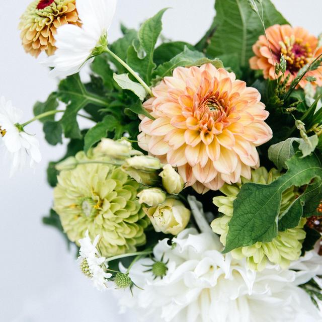 Flower Subscription: Oct-Dec, Tues. Pick-up at Formaggio's Kendall