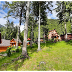 1-Night Stay at Villa Balea in Transfăgărășan, Romania