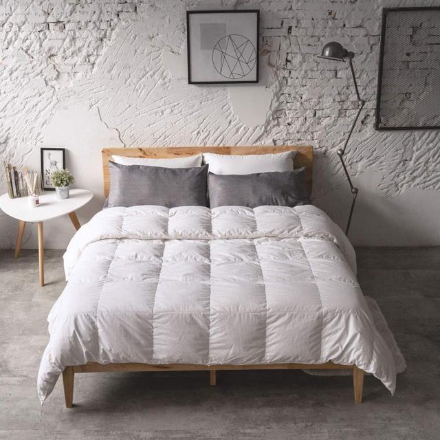 Lightweight All Season Duvet Insert - Queen