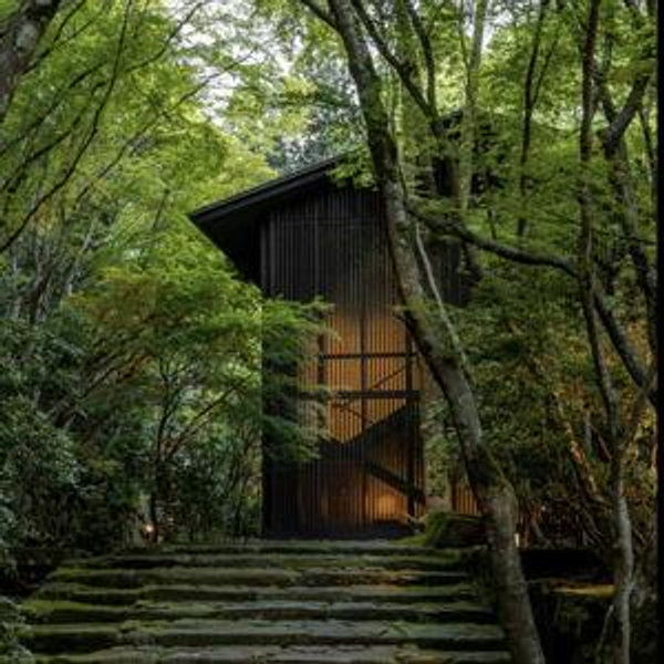 Honeymoon Hotels