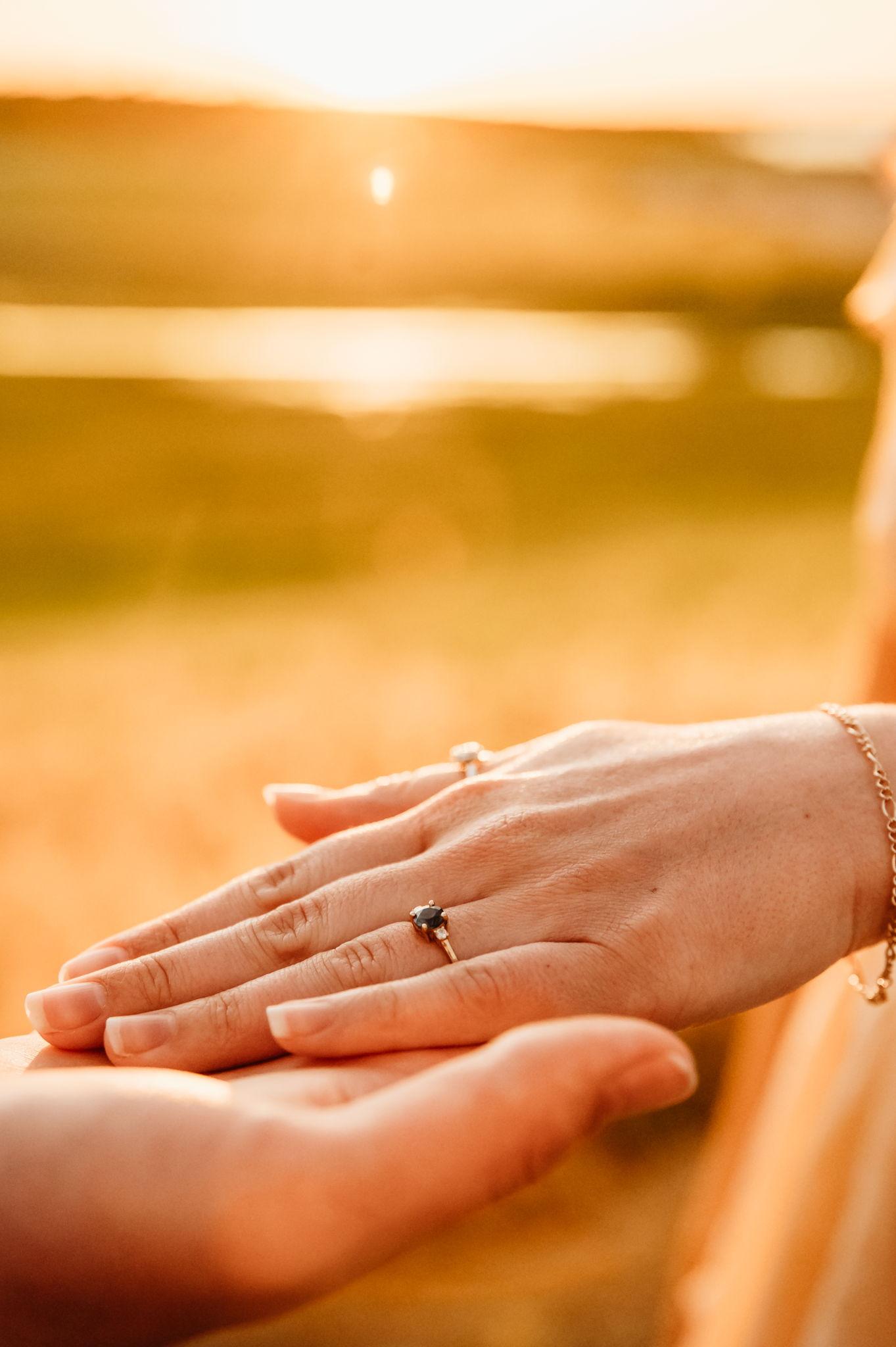 The Wedding Website of Nathan Diepenbrock and Mahalia Brantley