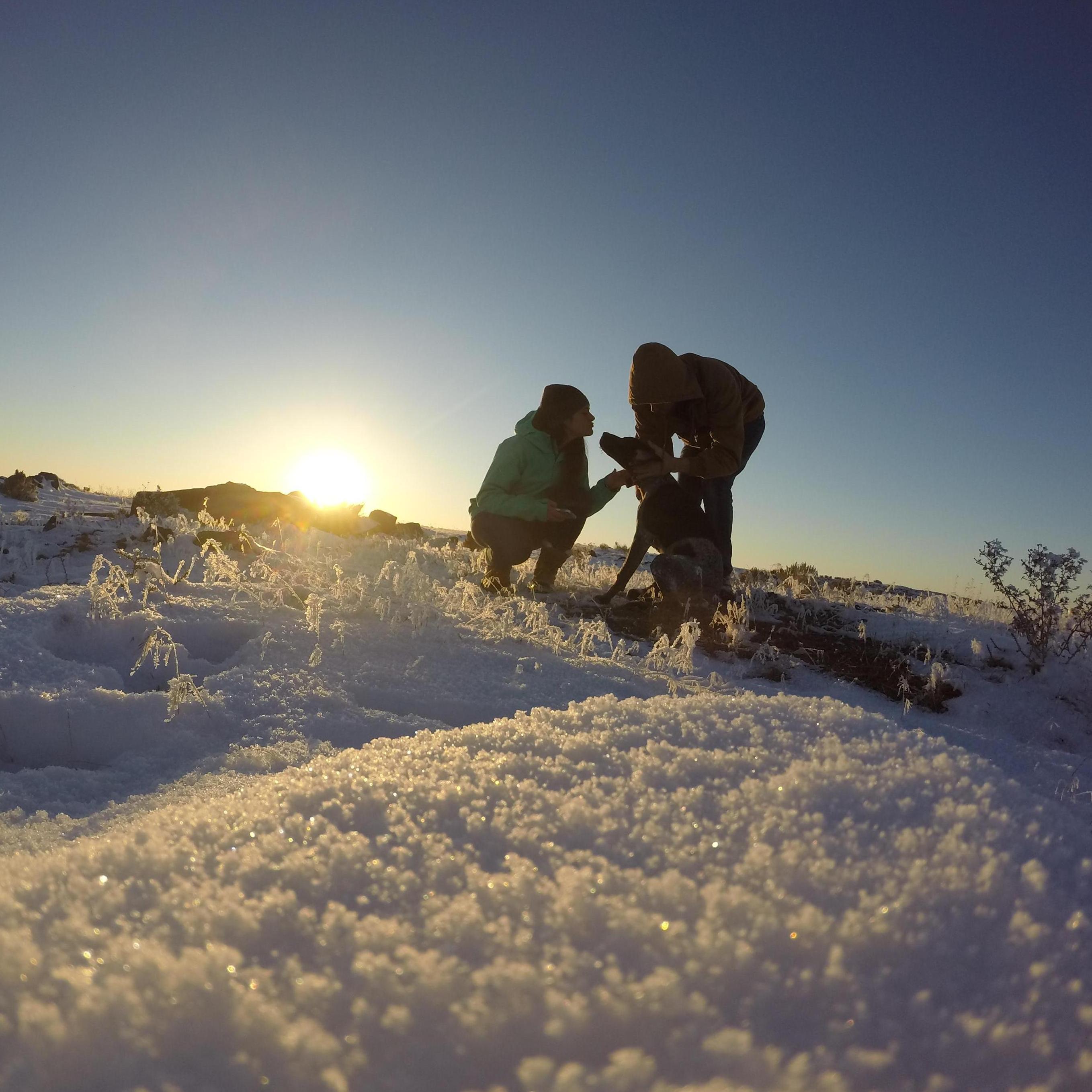 Snow in Twin Falls with our dog Emmett, 2015