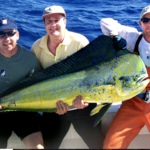 Sport Fishing & Boat Tours