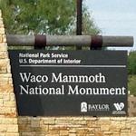 Waco Mammoth National Monument