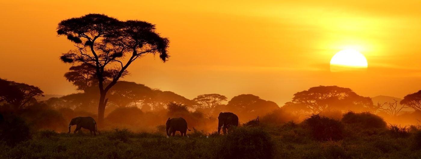 83e2bf5f-a4ca-4298-a042-8b6b74cd3a1f