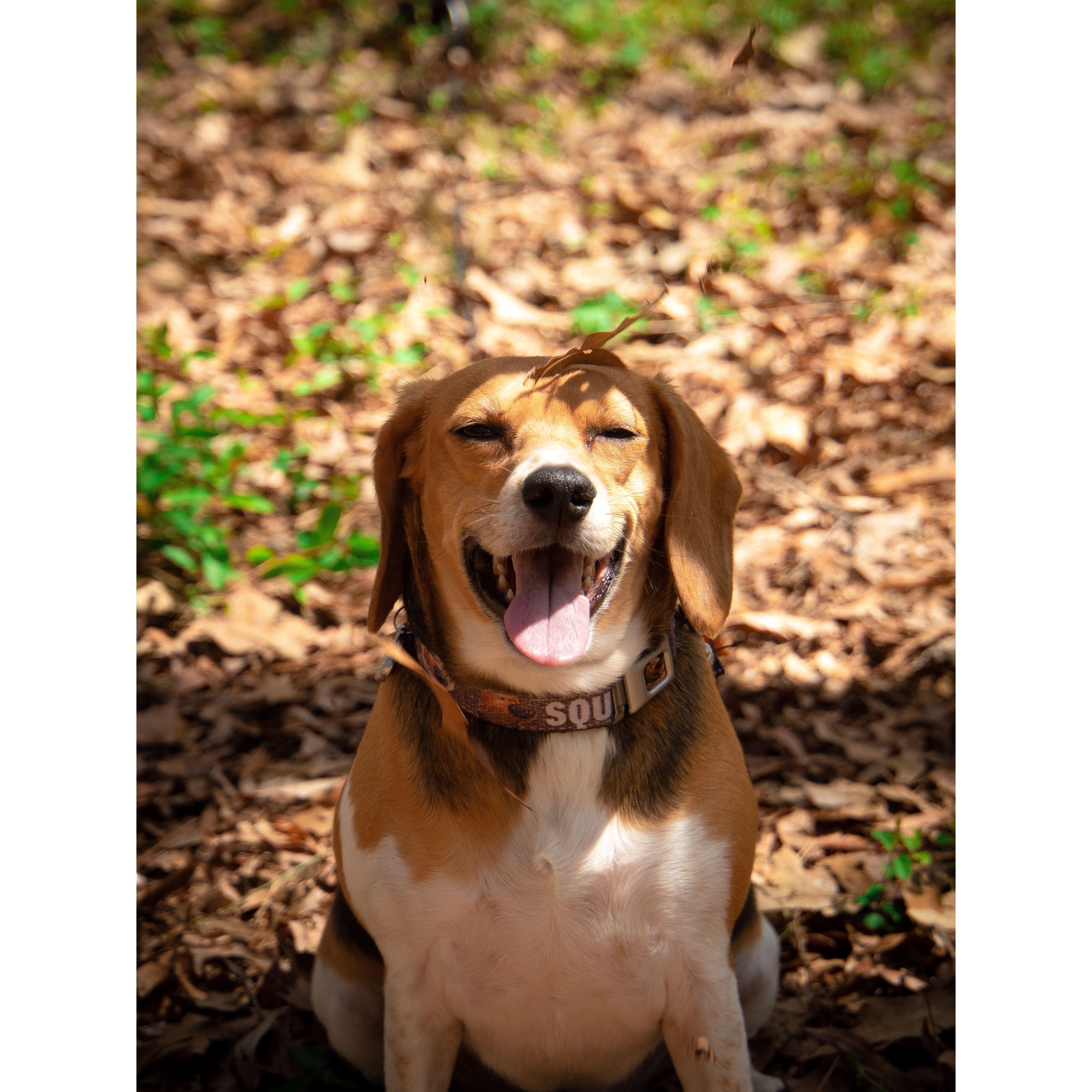 Dakota Being A Model - April 2nd, 2022