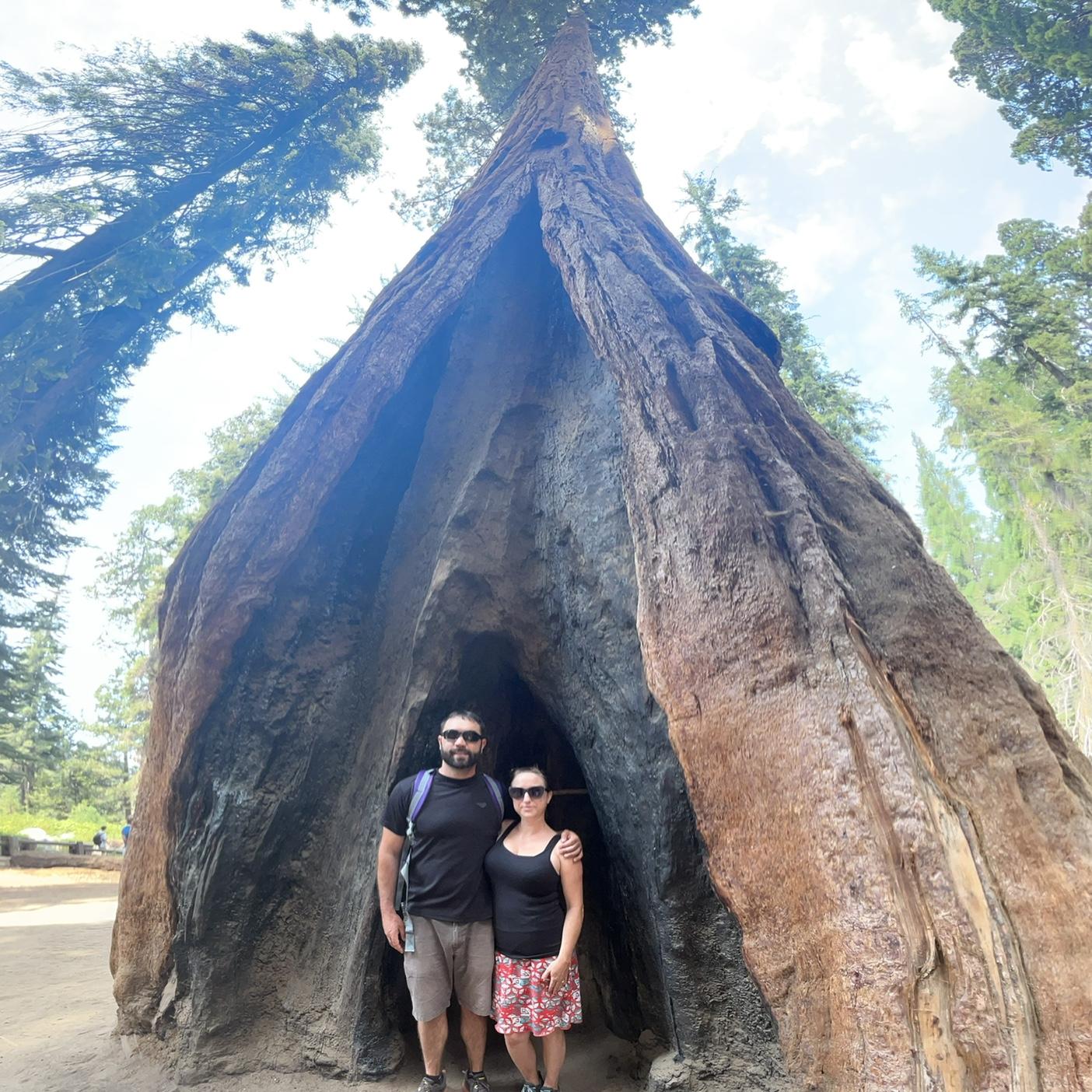 Sequoia National Park for Jeff’s birthday 2024.