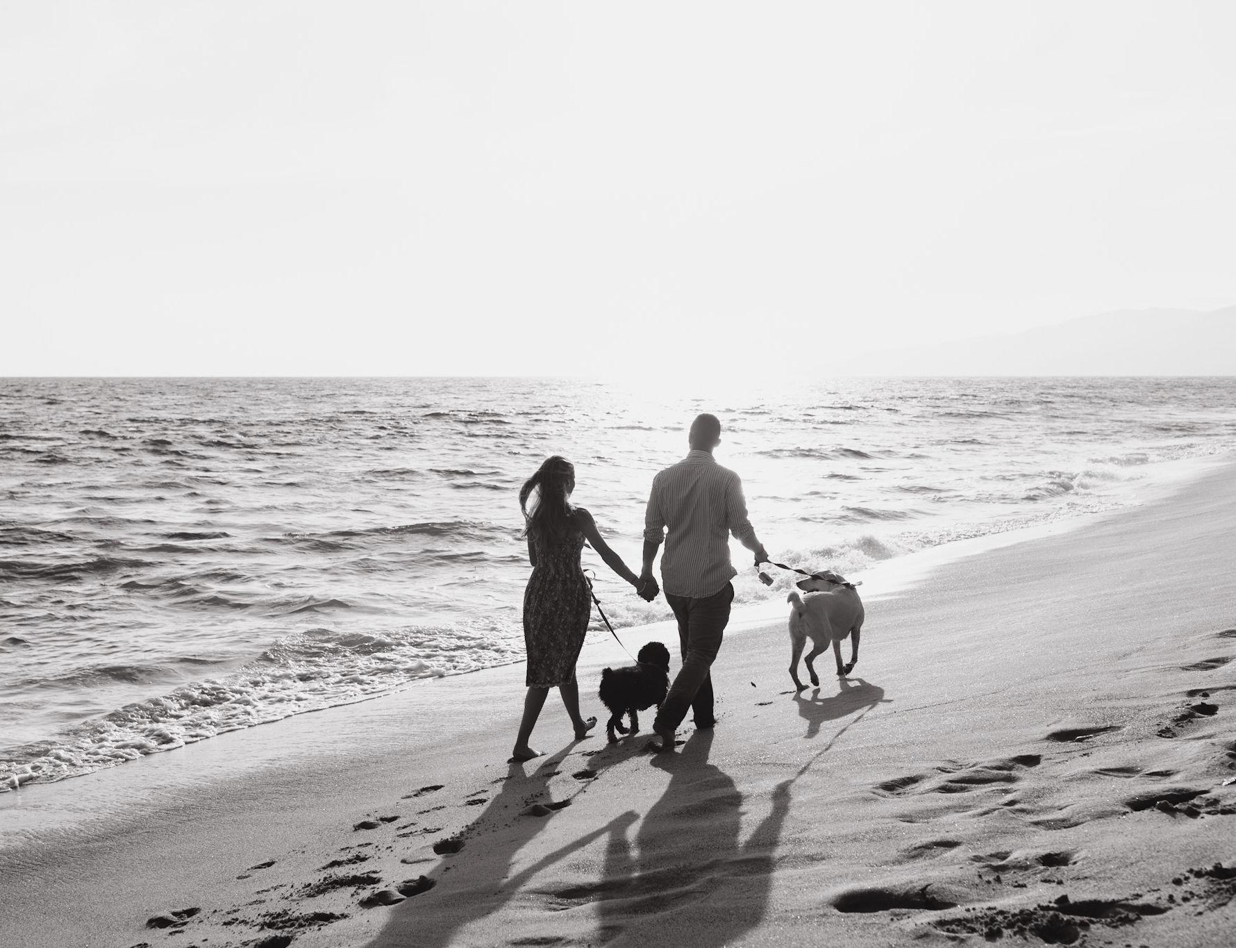 The Wedding Website of Paula Prieto and Zachary Tizzard
