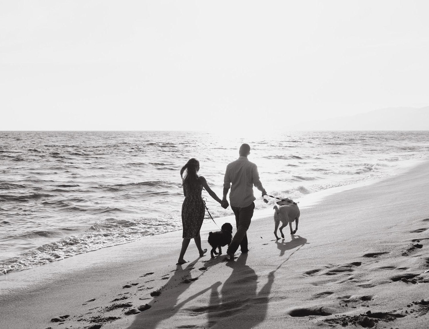 The Wedding Website of Paula Prieto and Zachary Tizzard