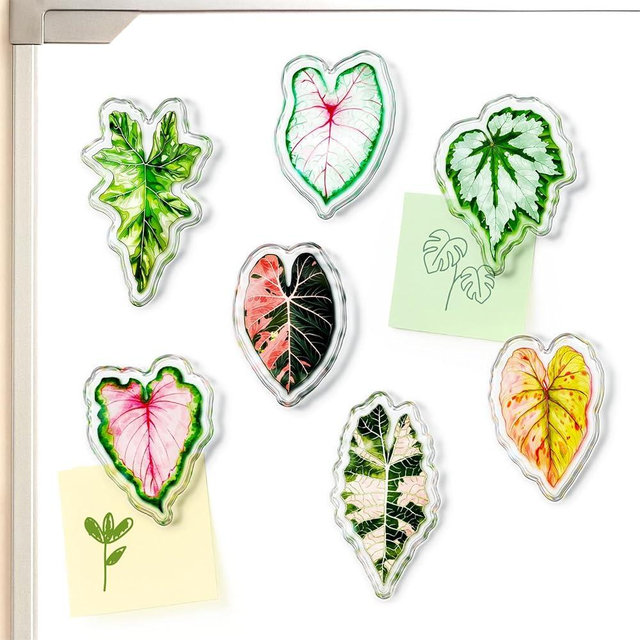 Nuvretk 7 Pack Leaf Magnetic Clips for Fridge and Whiteboard – Decorative Botanical Bag Sealers, Leaf Chip Holders for Snack Bags, Food Storage, Kitchen, Home, and Office Use