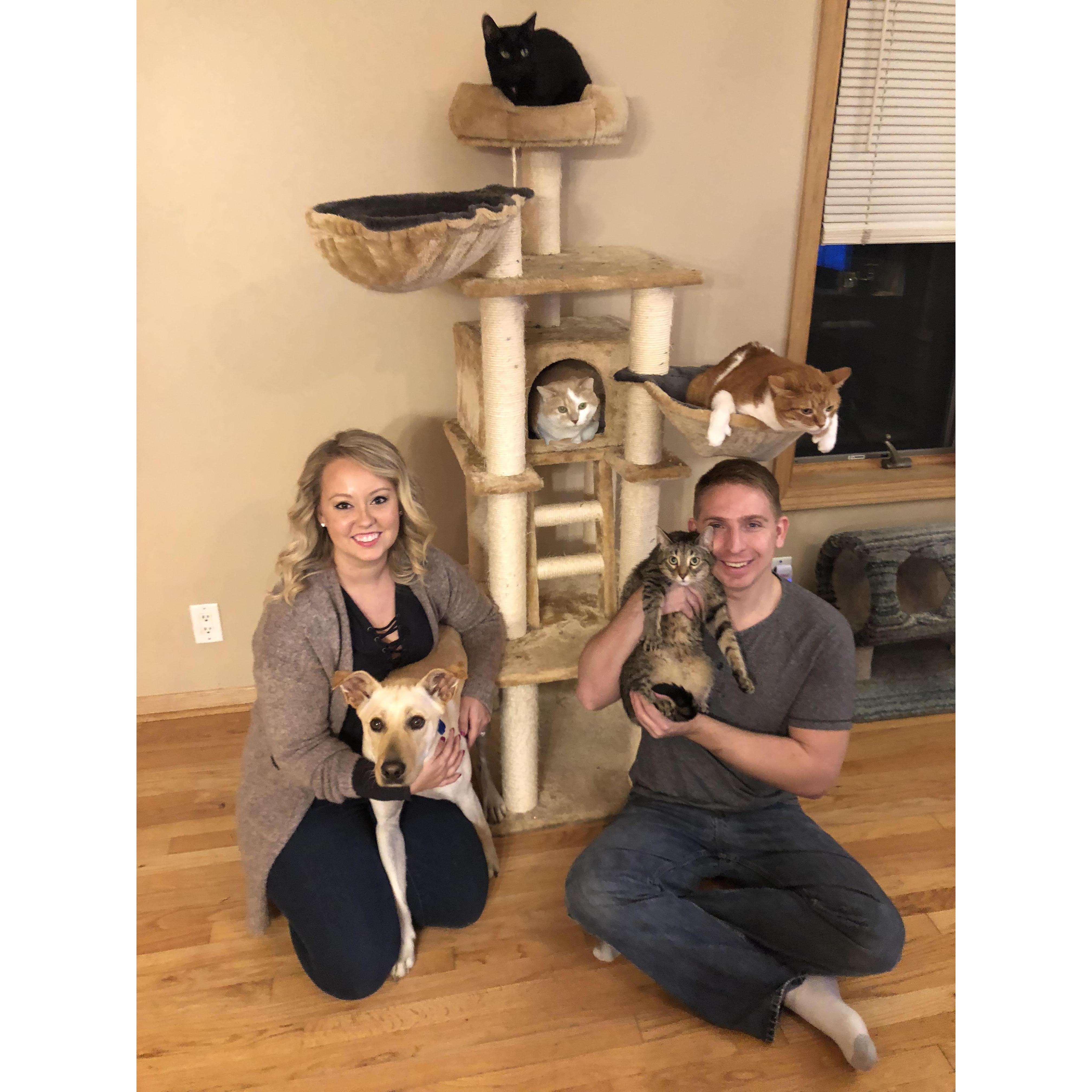 The WHOLE family in one photo! Somehow..