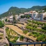 Mallorca Wineries
