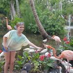 Everglades Wonder Gardens