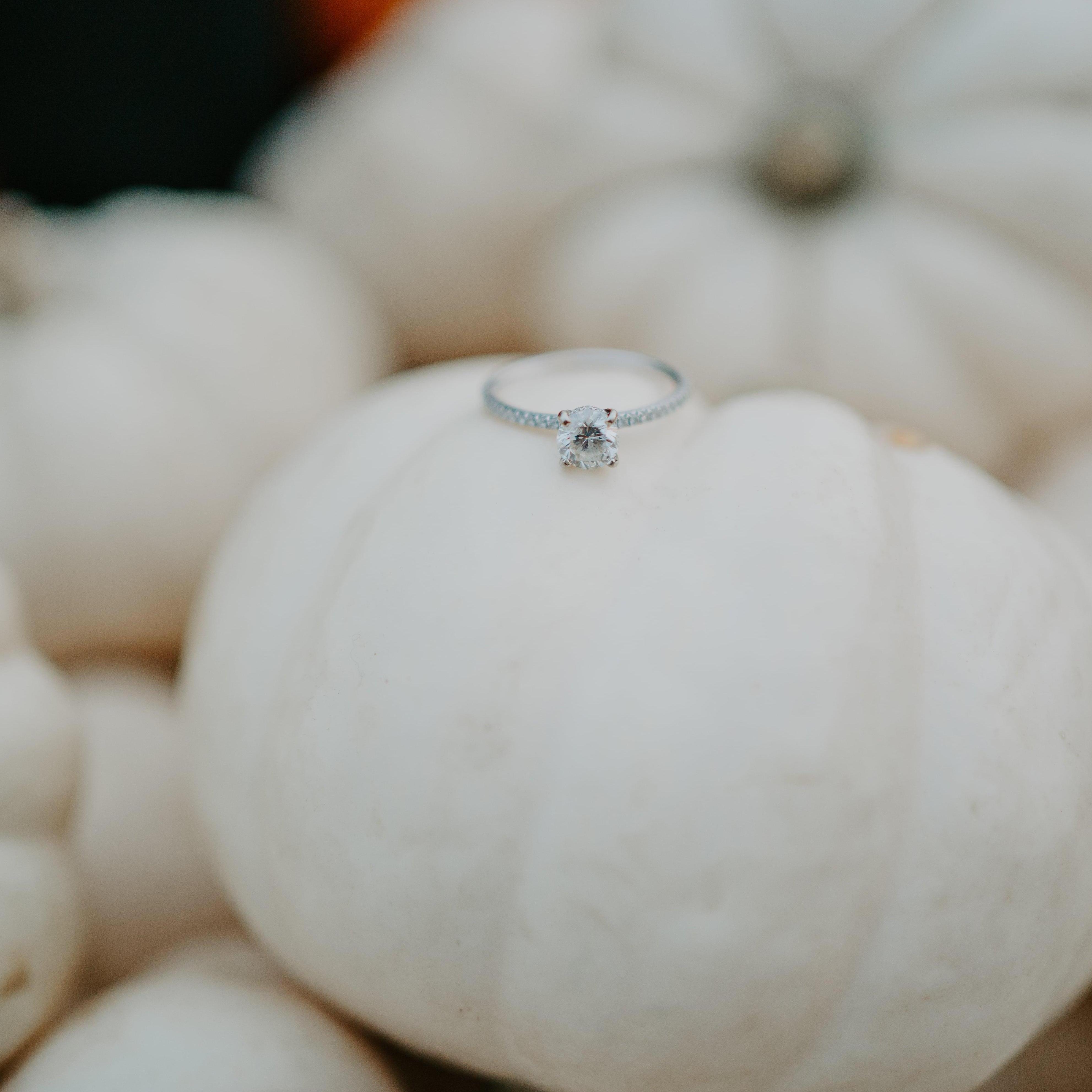 Photo by Lauren Hawkins Photography