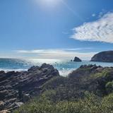 Harris Beach State Park