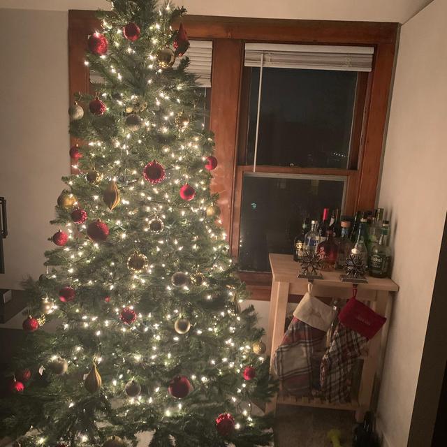 julia’s yearly christmas cookie supplies budget