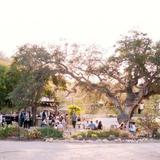 CASS Winery