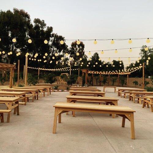 The Wedding Website of Christiaan Pipion and Hannah Haghighat