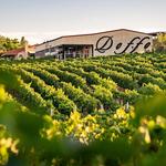 Doffo Winery