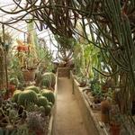 Moorten Botanical Garden