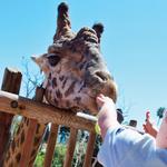 Santa Barbara Zoo