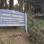 Mount Tabor