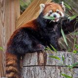 Milwaukee County Zoo