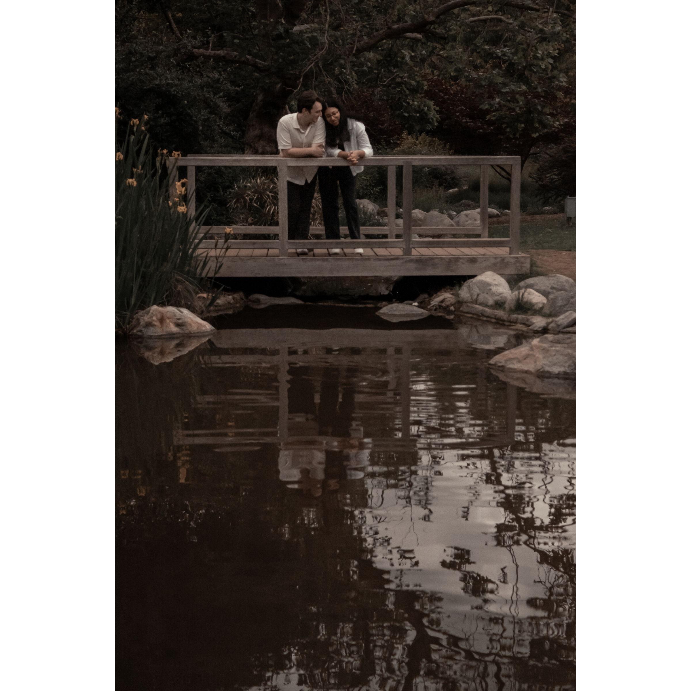 A lovely trip to the LA Arboretum and Botanical Gardens