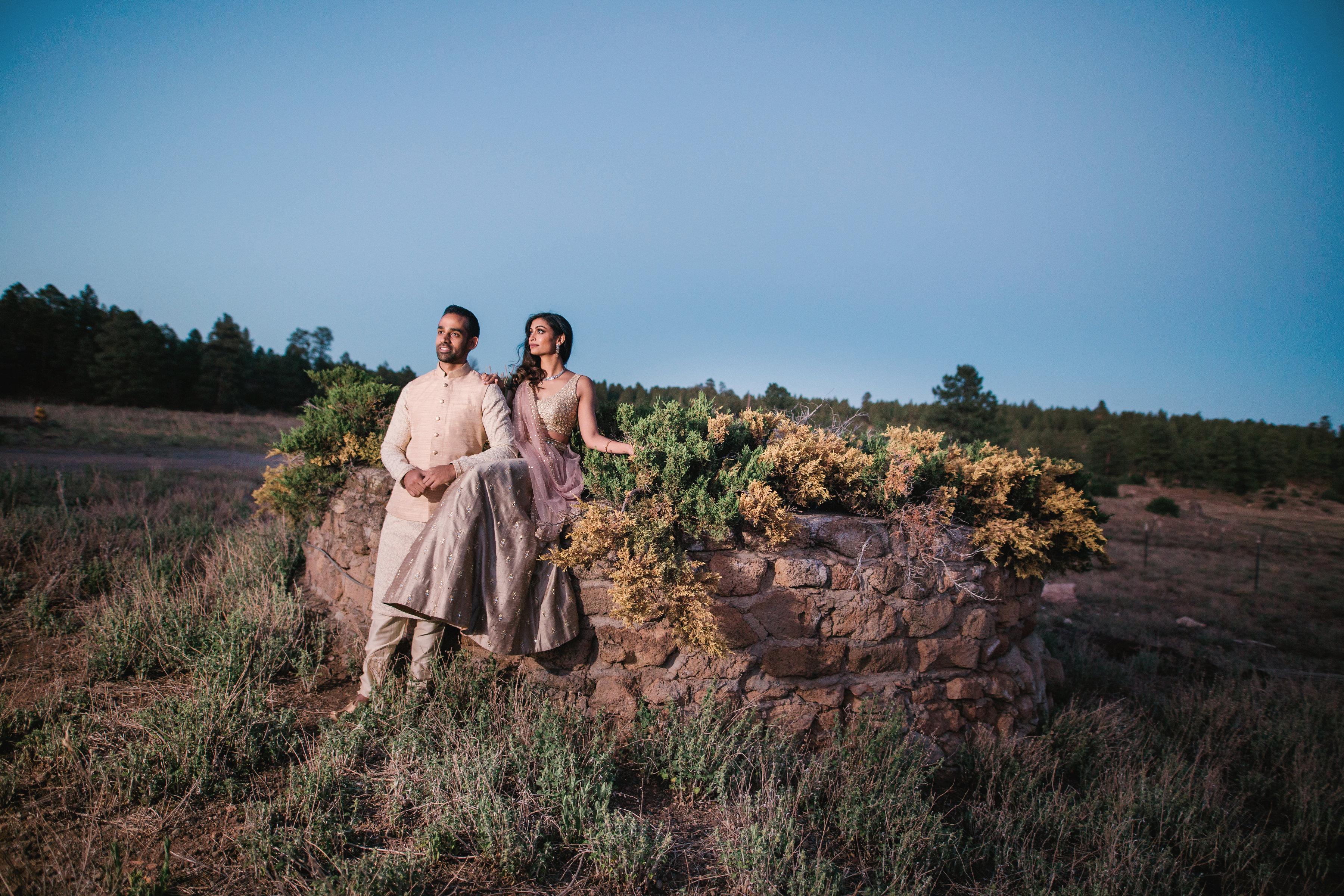 The Wedding Website of Akila Prasad and Amit Shah