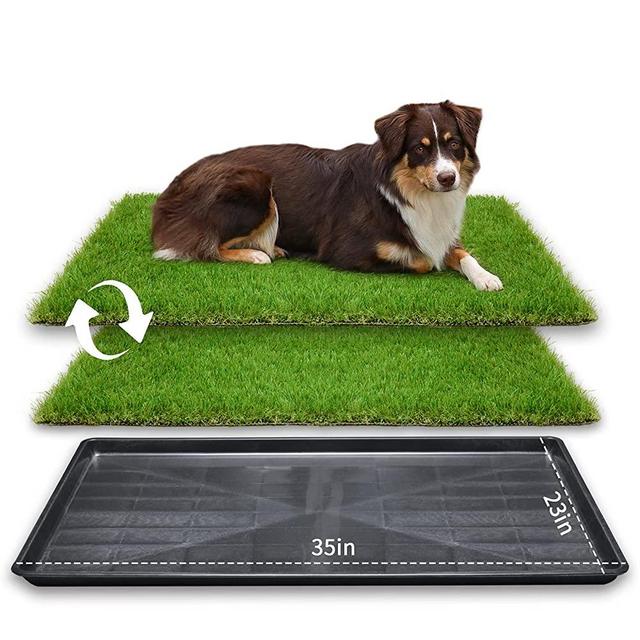 LOOBANI Large Dog Grass Porch Potty Tray, Replacement Artificial Grass Puppy Training Pads, Washable Pee Pads, Portable Dog Potty for Indoor/Outdoor Use