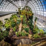 Myriad Botanical Gardens